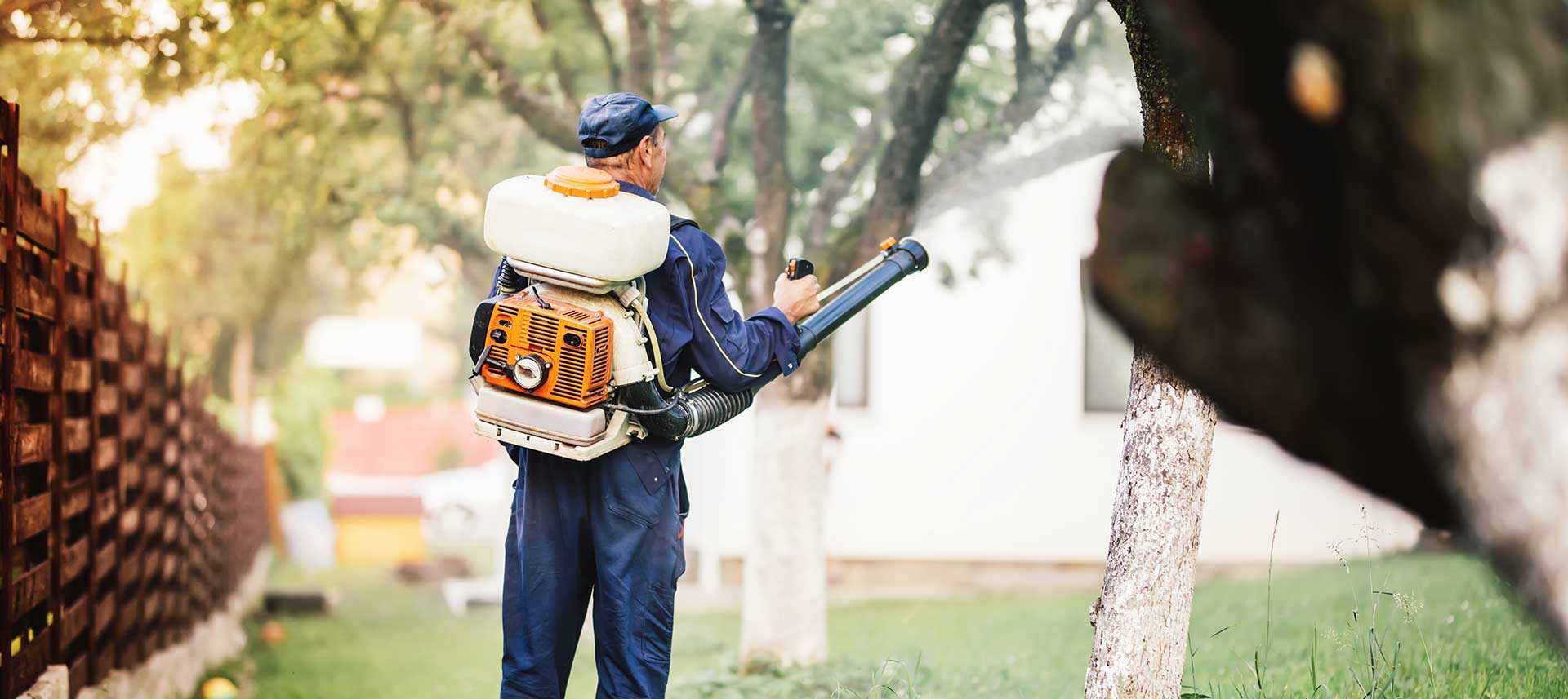 מומחה הדברות