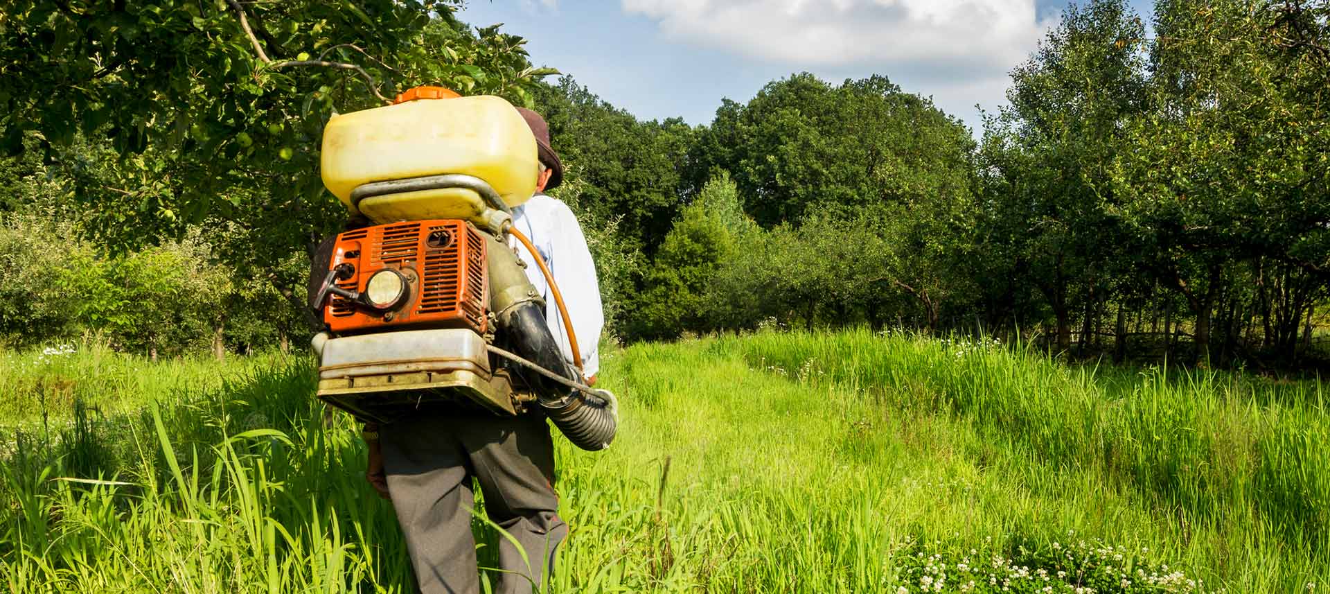 מומחה להדברה ירוקה